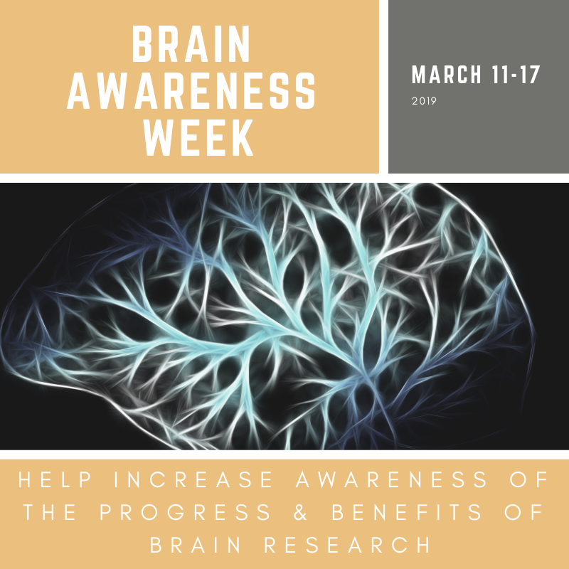 Brain Awareness WeekUnderstanding the Brain and Behavior