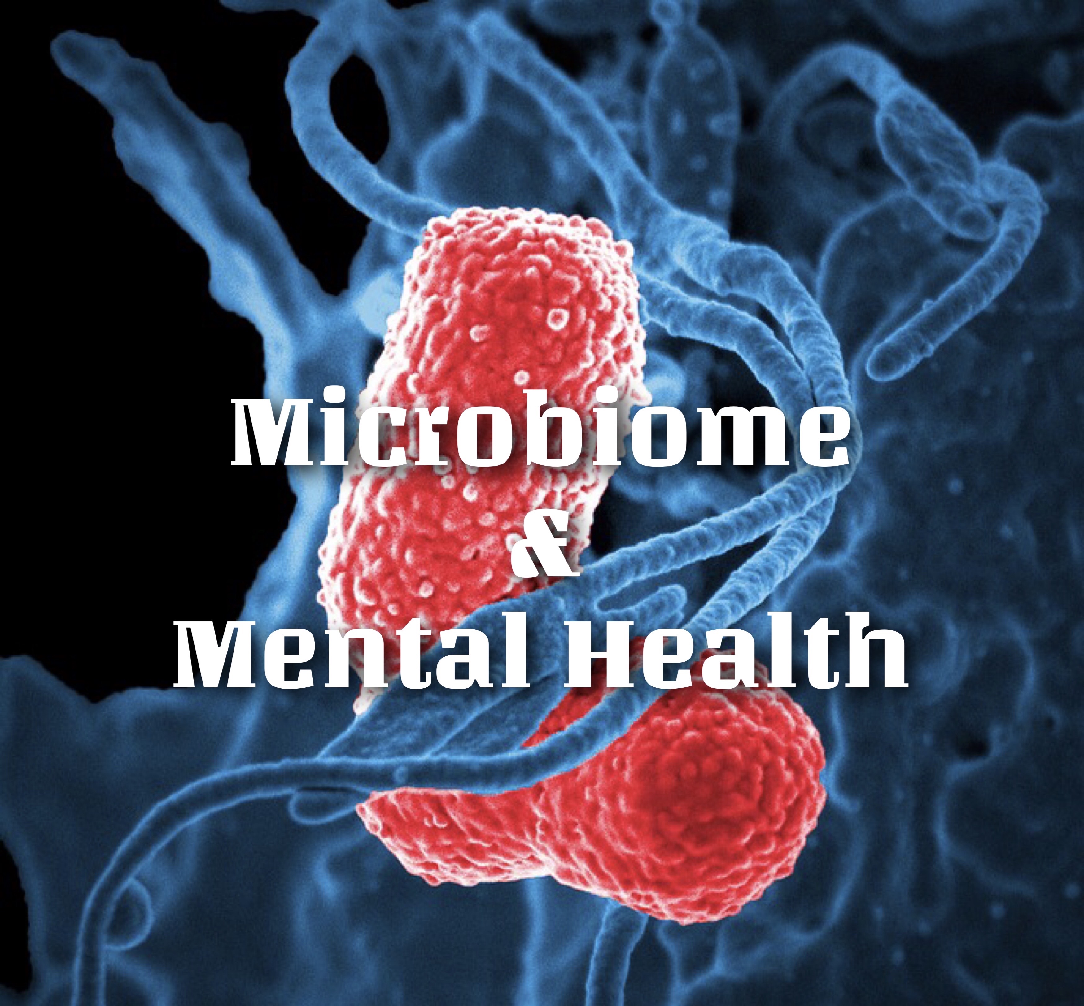 Gut Microbiome And Mental Health Gut Microbiome And Mental Health