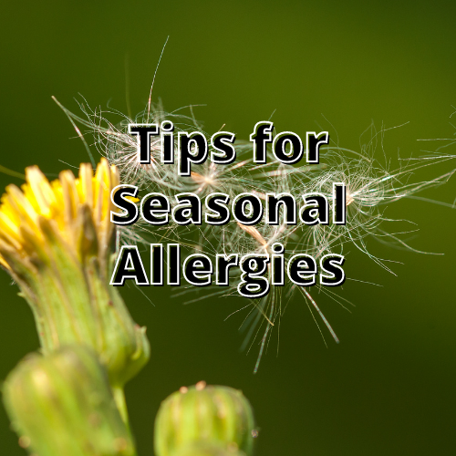 Tips for Seasonal Allergies