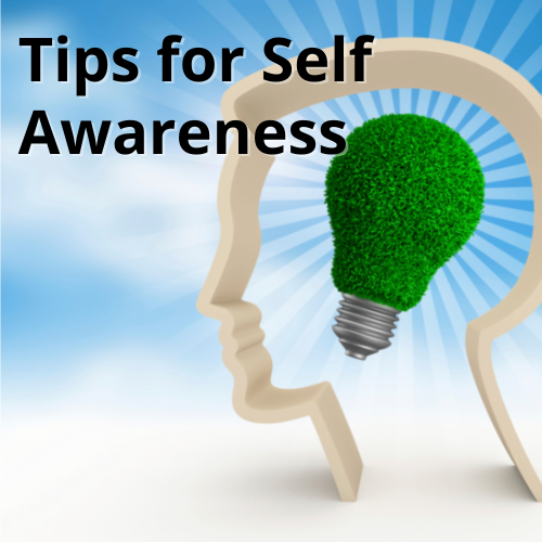 What Is Self Awareness Pdf