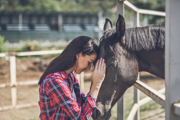 animal assisted therapy